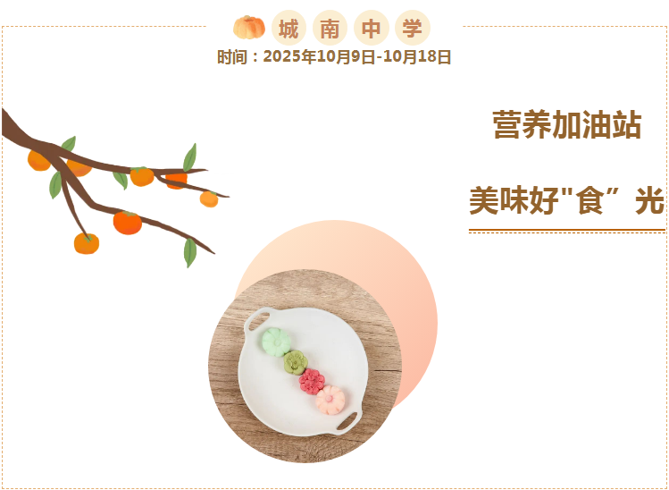 NO:251021 Ӫվ